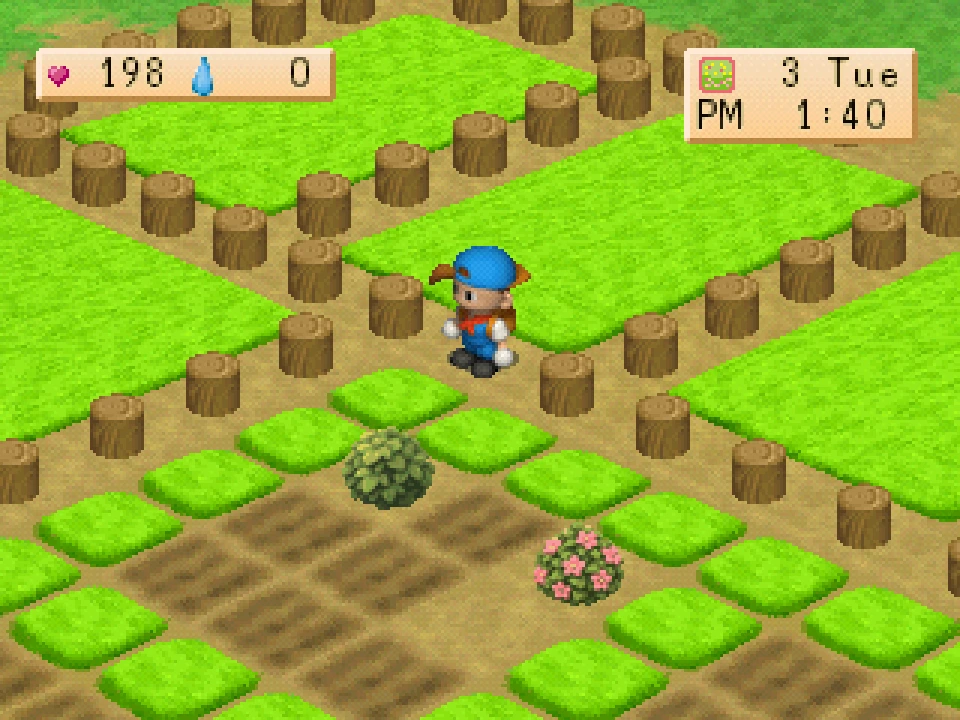 A green bush and a pink flowering bush placed on the farm field.